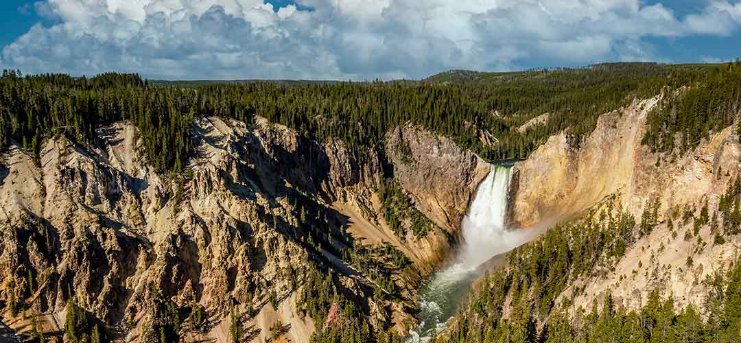 Grand Canyon of Yellowstone and Yellowstone Falls