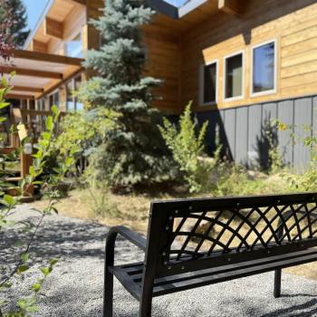 Outside space for you furry friend