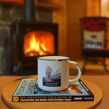 Relax by the fireplace.