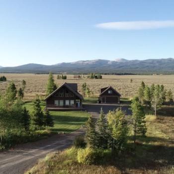 Imagine a cabin perched among the towering pine trees that give the area a secluded, forested feel.