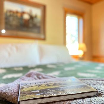 Master bedroom lounging while reading a book about Yellowstone National Park.