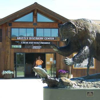 Grizzly & Wolf Discovery Center