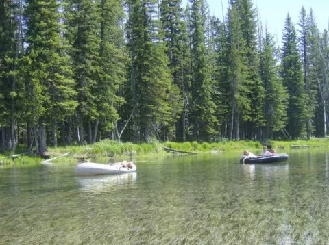 Bill's Island