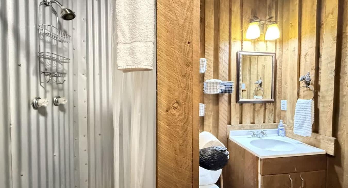 Standing shower in the bathroom.