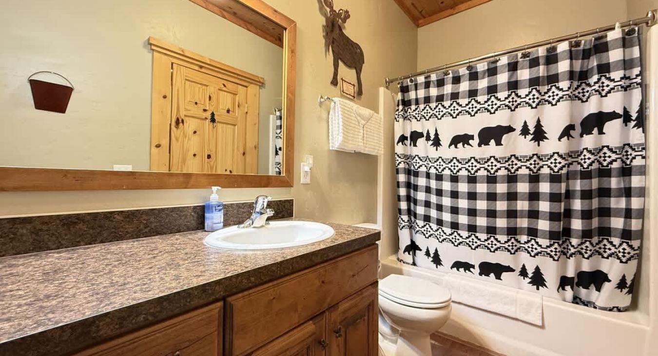 Downstairs full bathroom with shower tub combo, toilet, and double sink vanity.