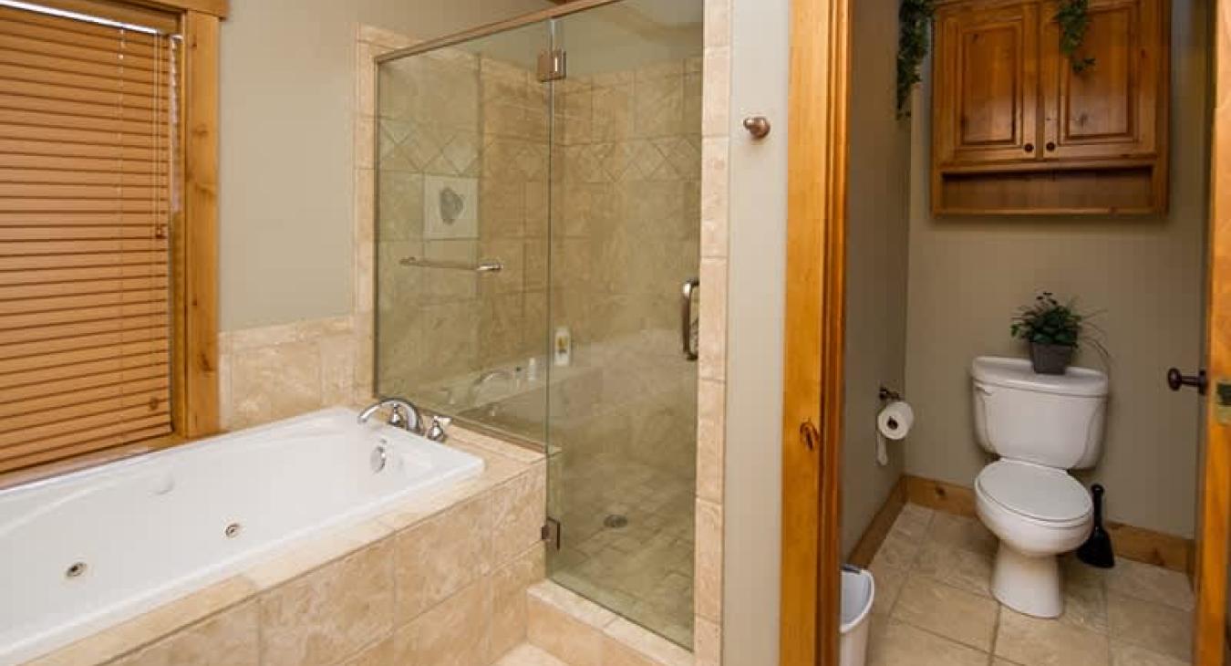Main floor master bathroom with tub, standing shower, toilet, and sink vanity.