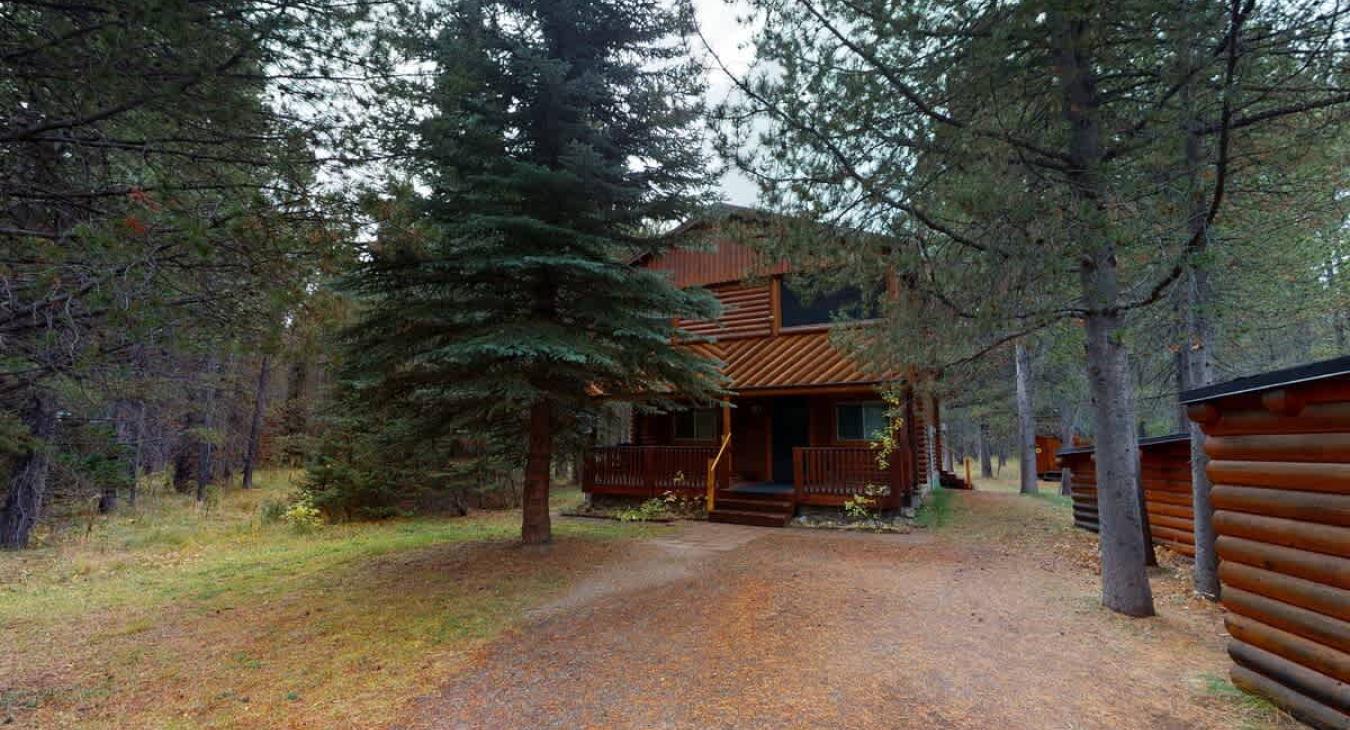 Surrounding the cabin are the beautiful pine trees.