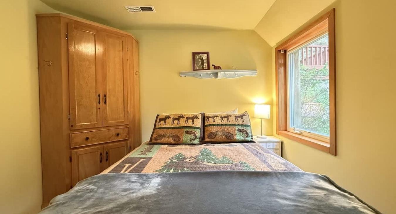 Bedroom located in the basement with a queen size bed and closet.