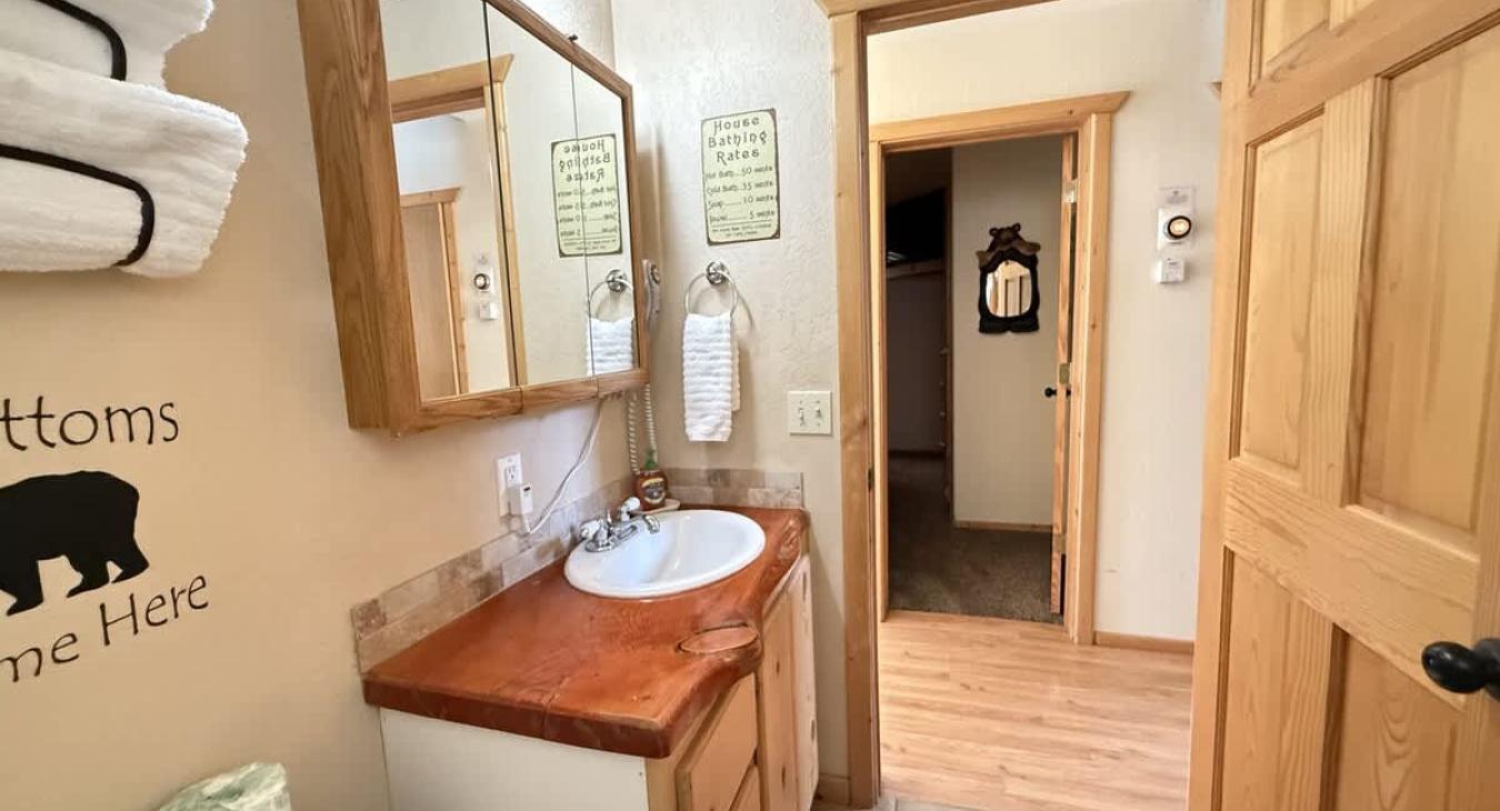 Downstairs bathroom with a shower tub combo, toilet, and sink vanity.