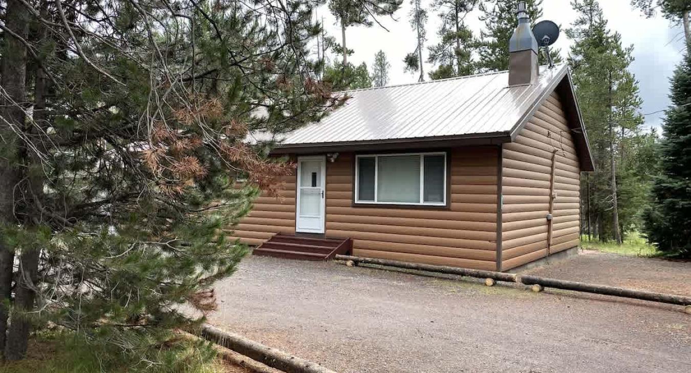 Outside view of the cabin with beautiful pine trees.