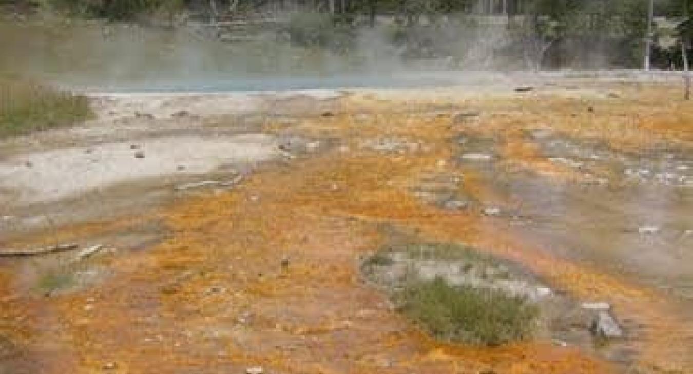 Timber Heights Apartment