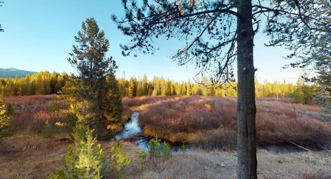 Beautiful landscapes near your cabin.