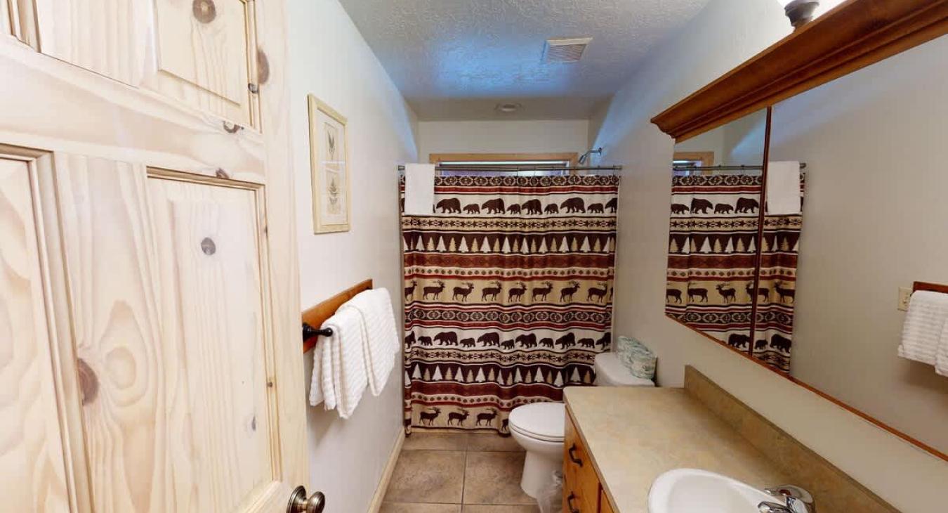 Main level bathroom with shower/tub combo, toilet, and sink vanity.