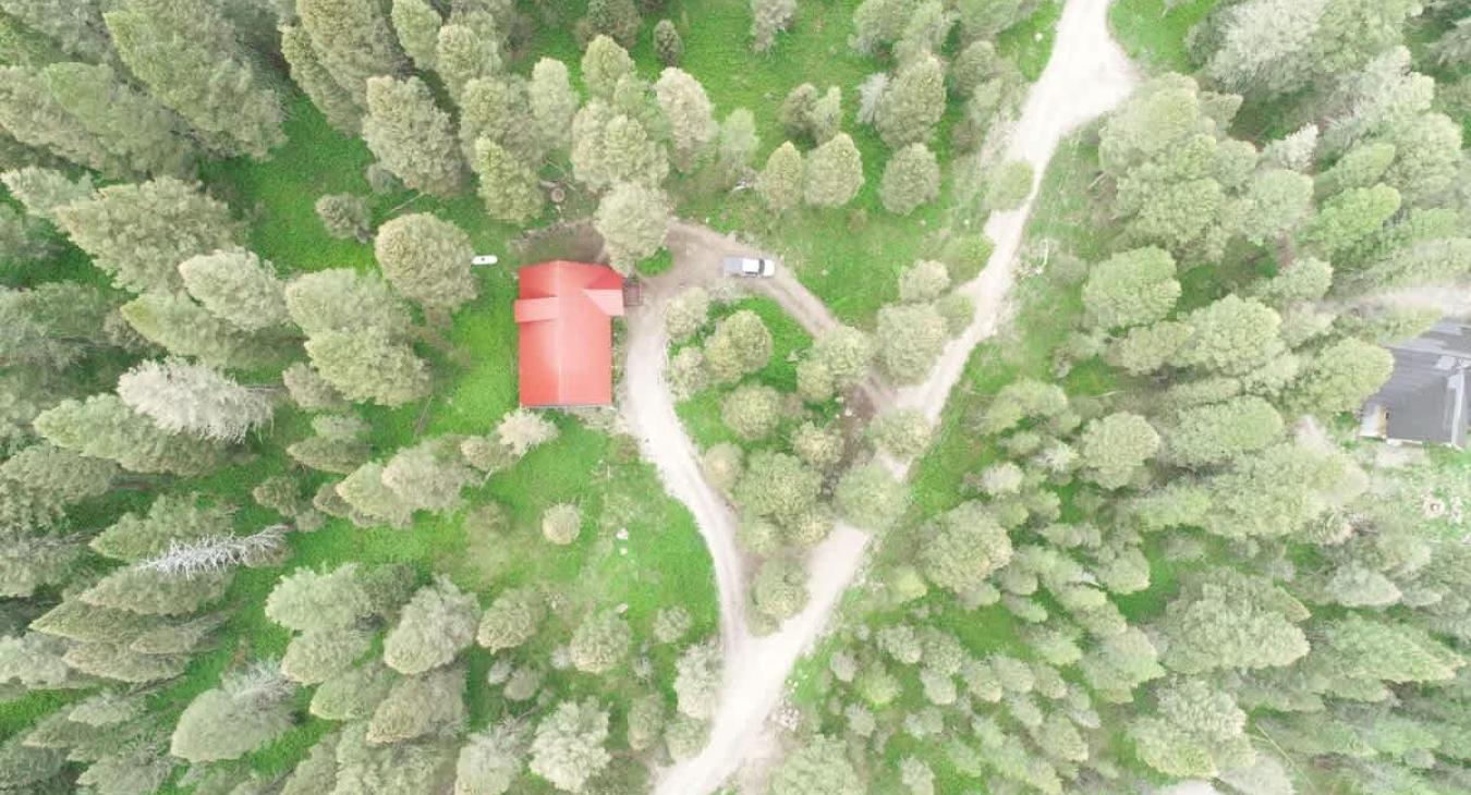 Arial view of the cabin