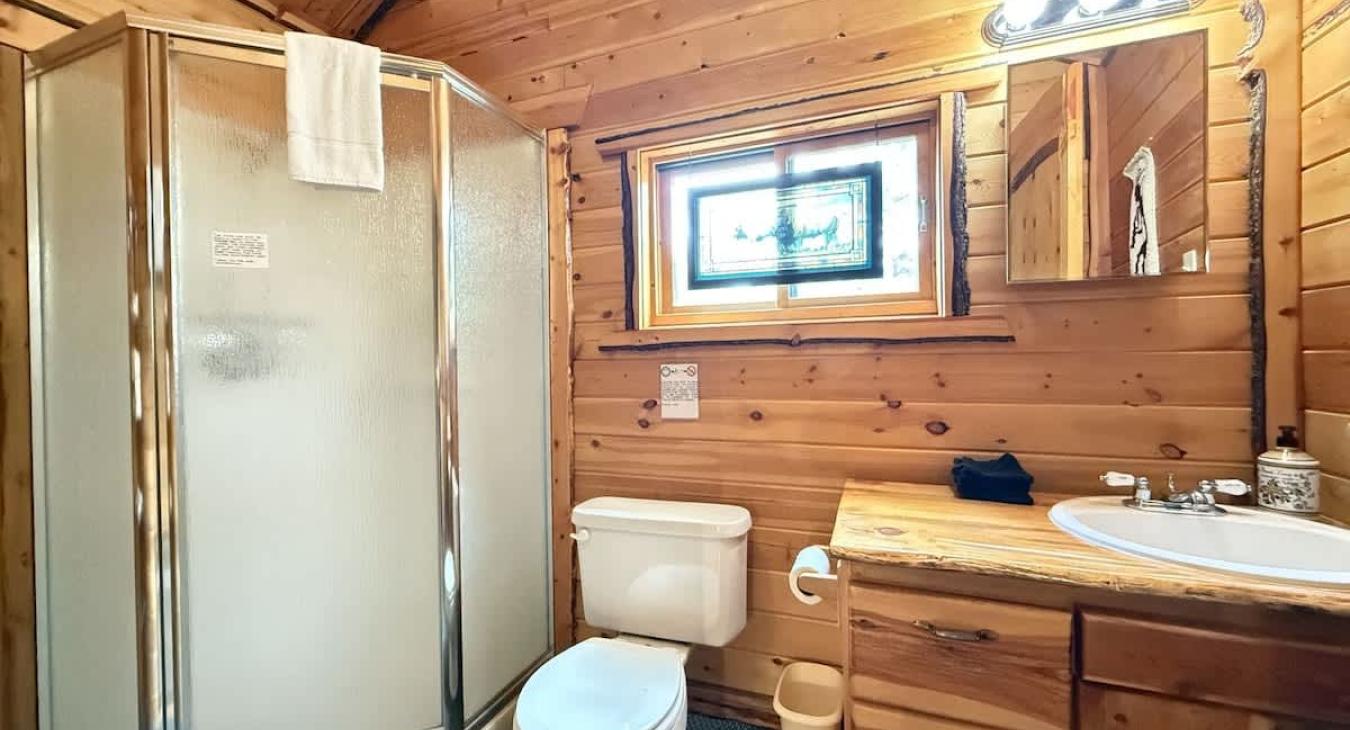 Upstairs bathroom with standing shower, toilet, and sink vanity.