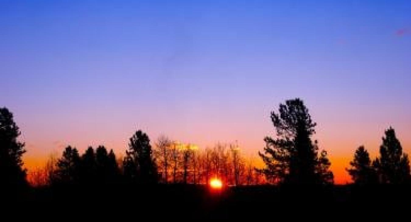 Beautiful scenery in nearby areas.