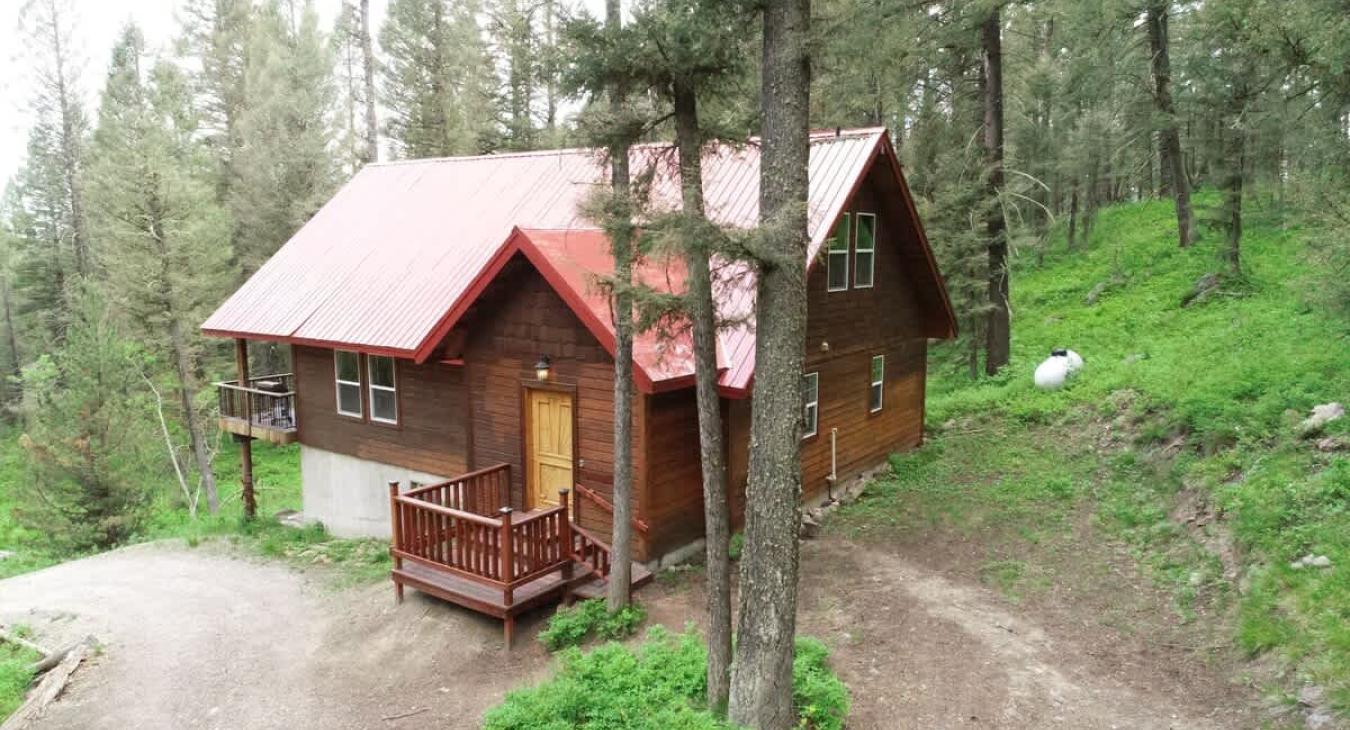 View of the cabin and the surrounding forest