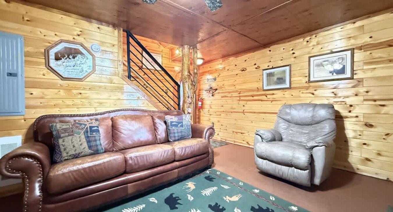 Basement living room area with sleeper sofa