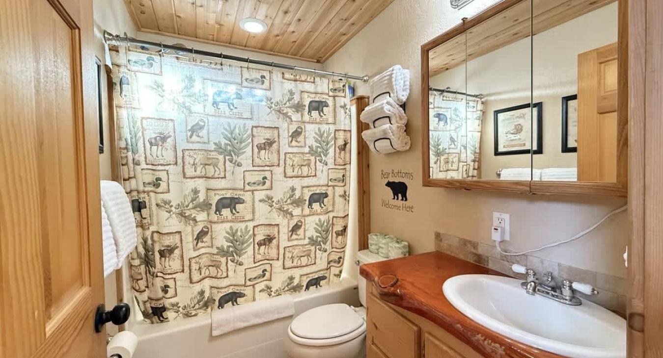 The shower is equipped with a shampoo, conditioner, and body wash for you to use.