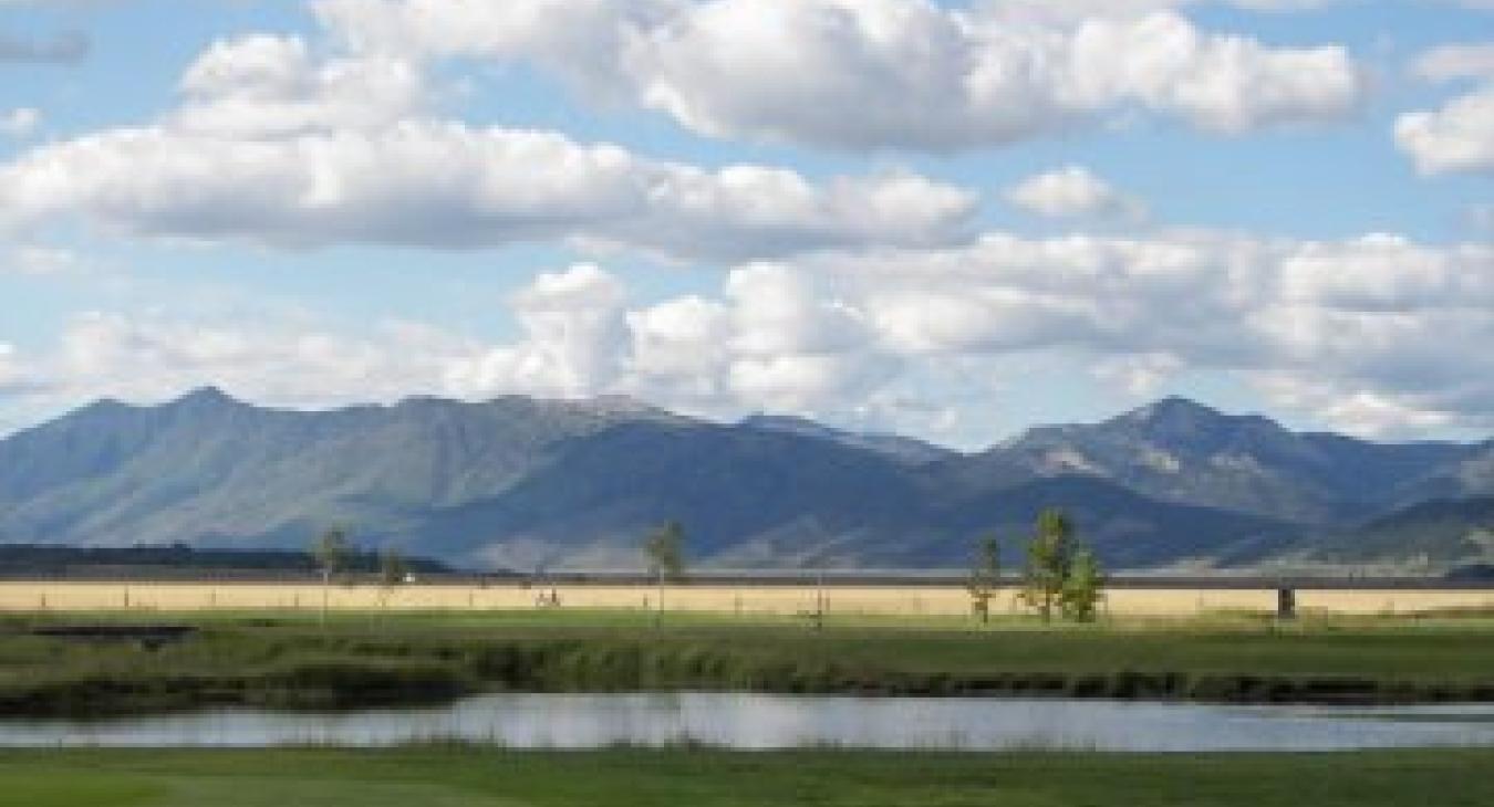 Scenic views on the golf course right by the cabin.