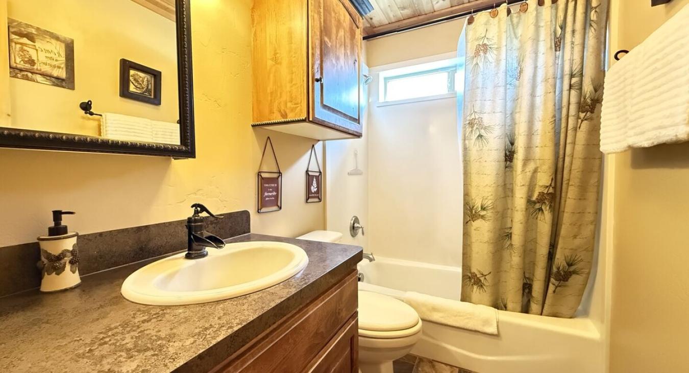 Downstairs bathroom with a shower tub combo, toilet, and sink vanity.
