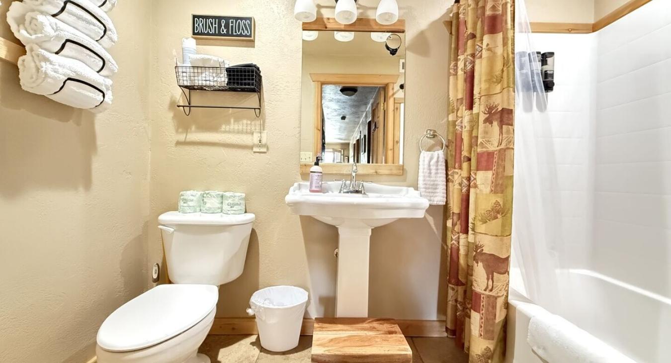 Downstairs bathroom with shower tub combo, toilet, and sink. Towels, shampoo, conditioner, and body wash are provided.