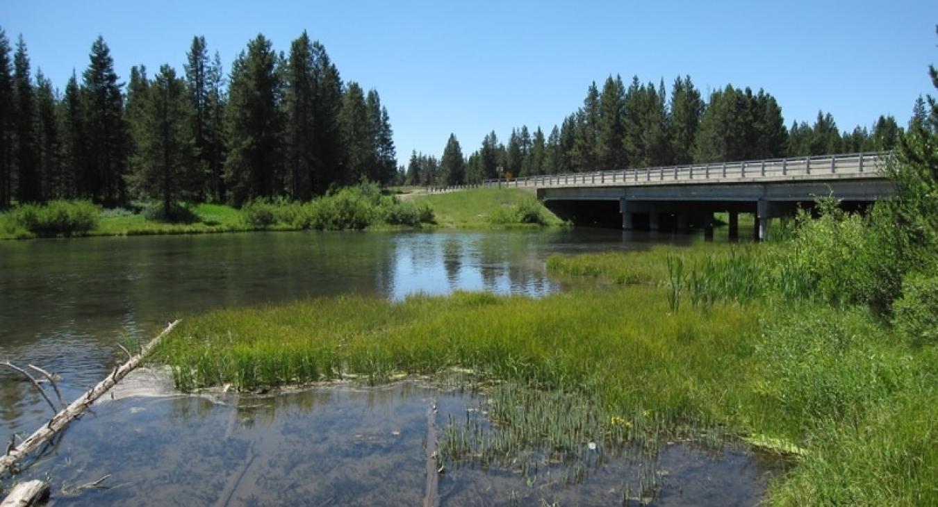 Enjoy the beauty that Island Park has to offer.