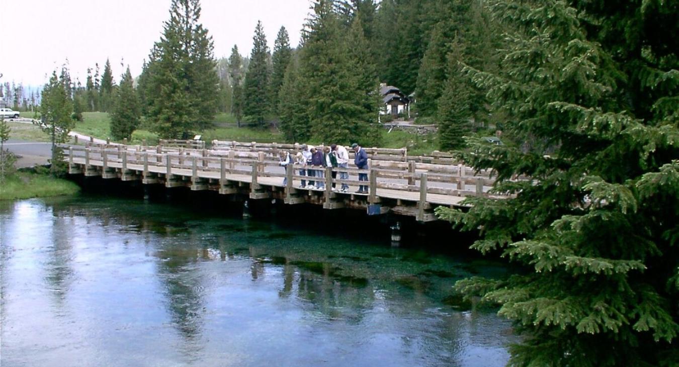 Beautiful nature to explore nearby.