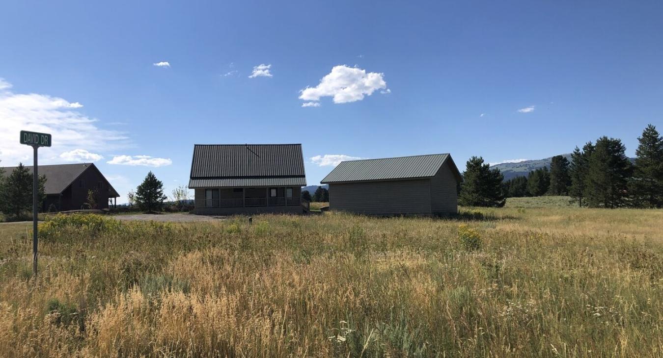 This cabin is surrounded by beautiful pine trees and grass.