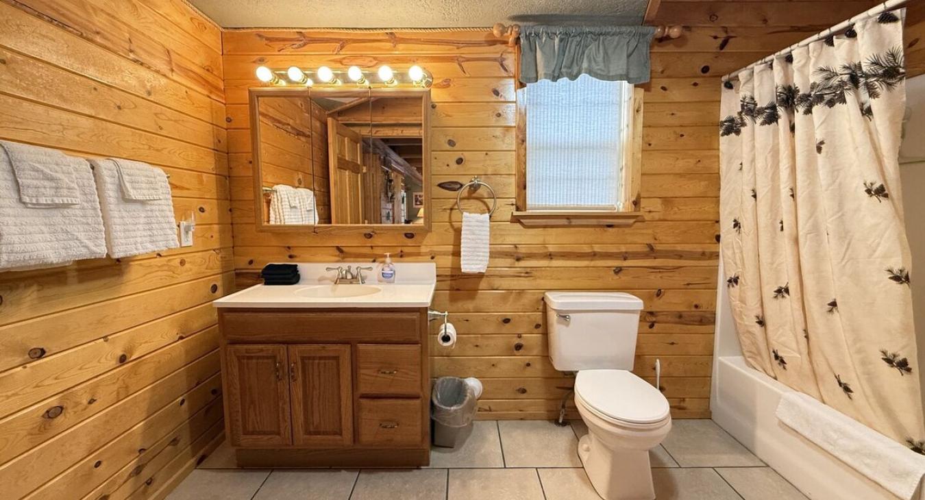 Main level bathroom with shower/tub combo, toilet, and sink vanity.