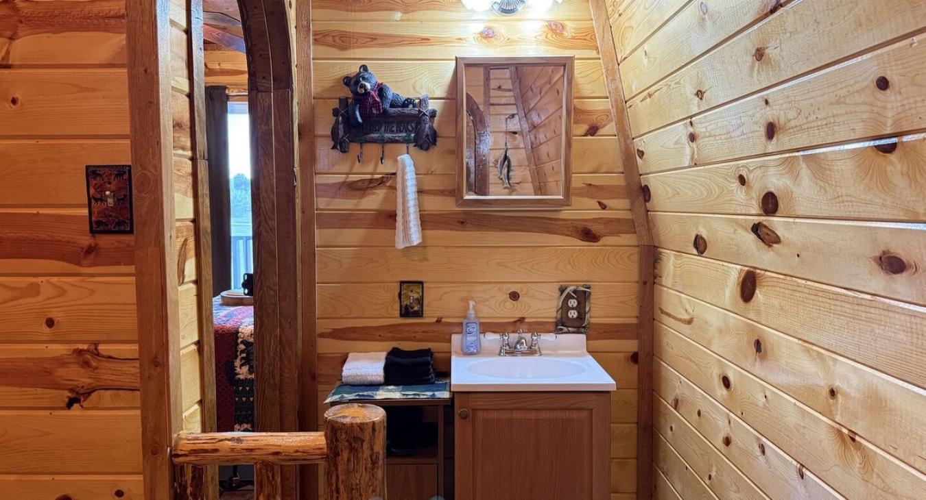 Shared sink and vanity in common space upstairs
