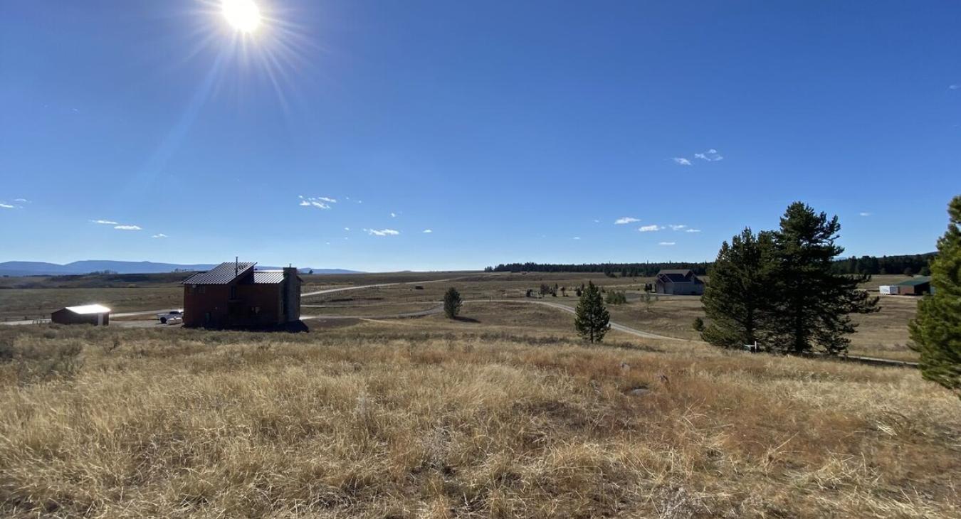 Lots of open space around the cabin.
