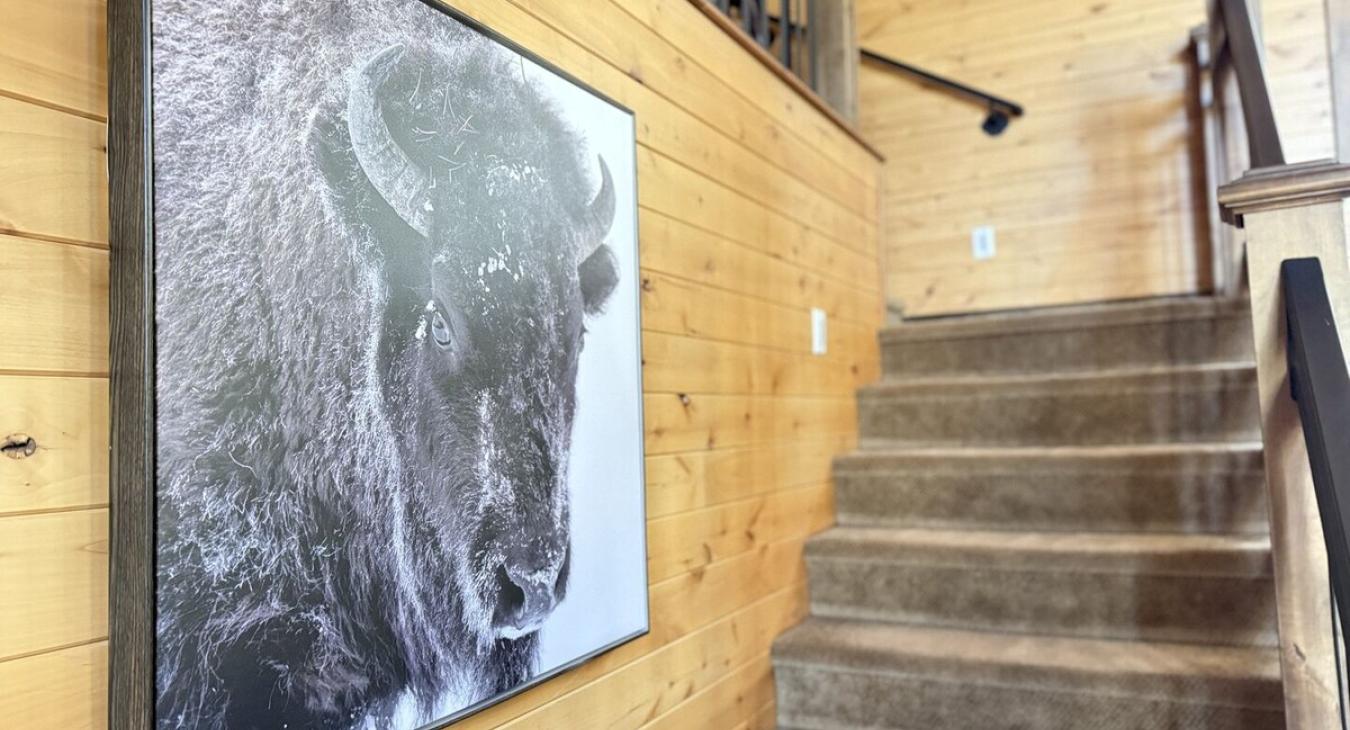 Beautiful buffalo art work.