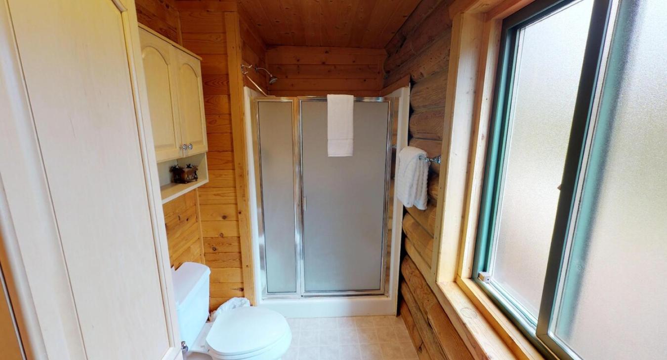 Master bathroom with standing shower, toilet, and sink vanity.
