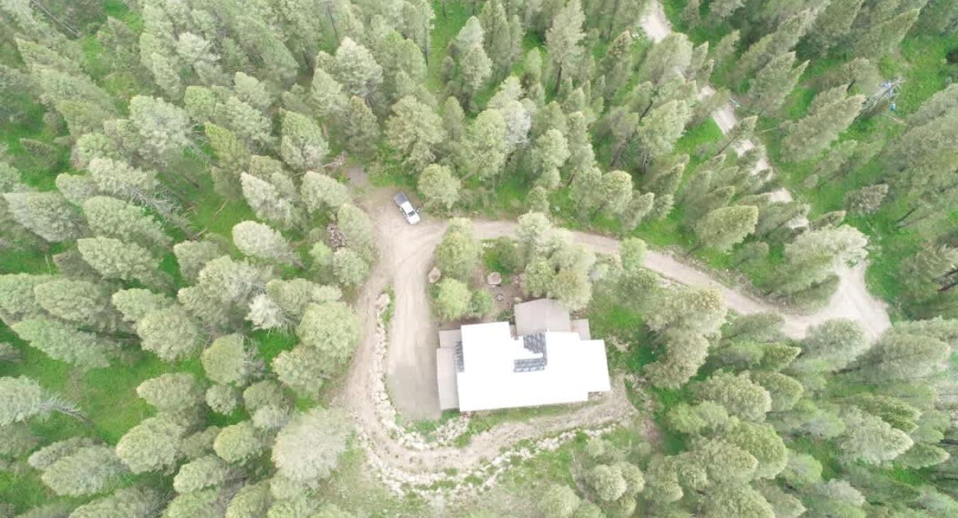 Arial view of the lodge and surrounding forest