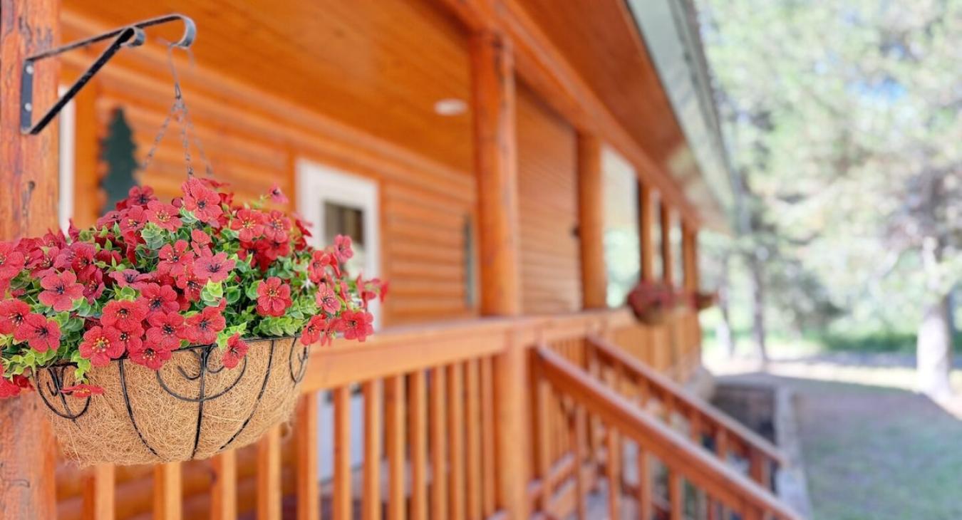 front porch view