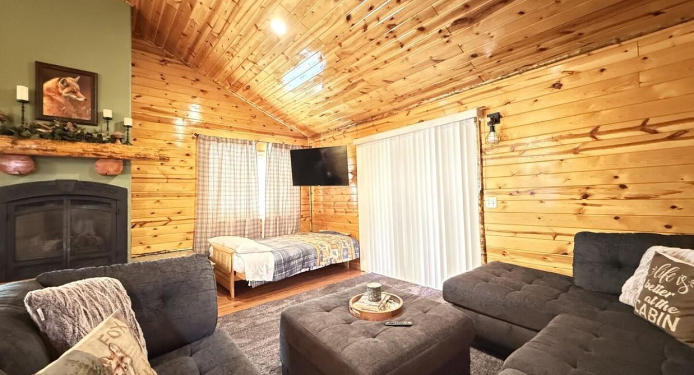 Living room couch and futon bed with a smart tv.