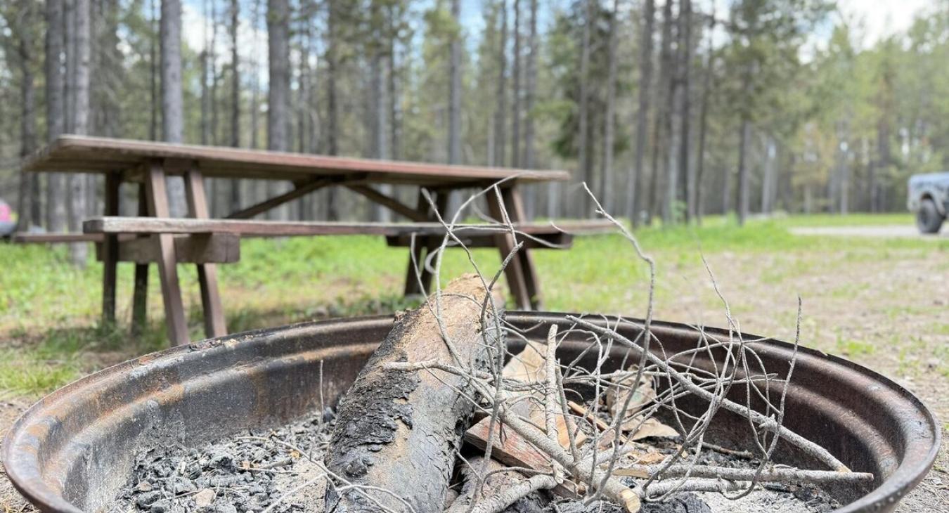 Fire pit and picnic table.