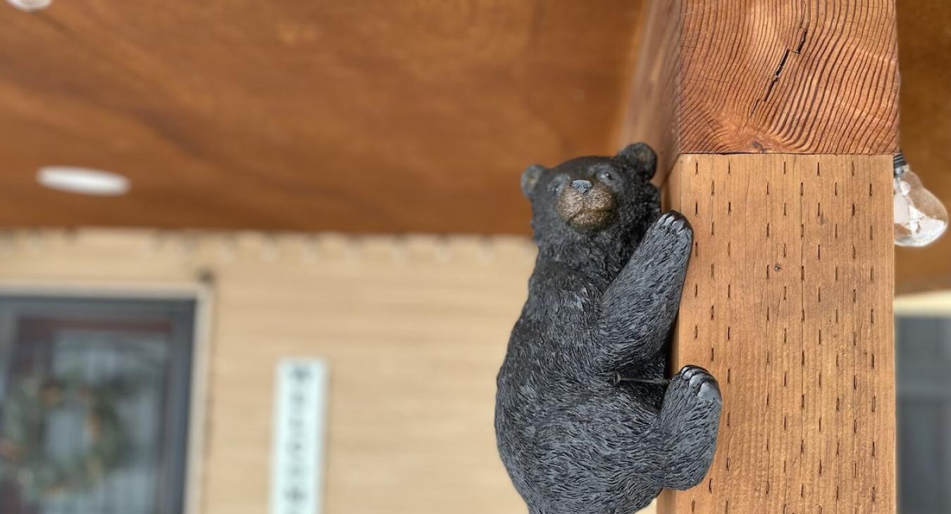 Small bear touches to enhance the aesthetic.