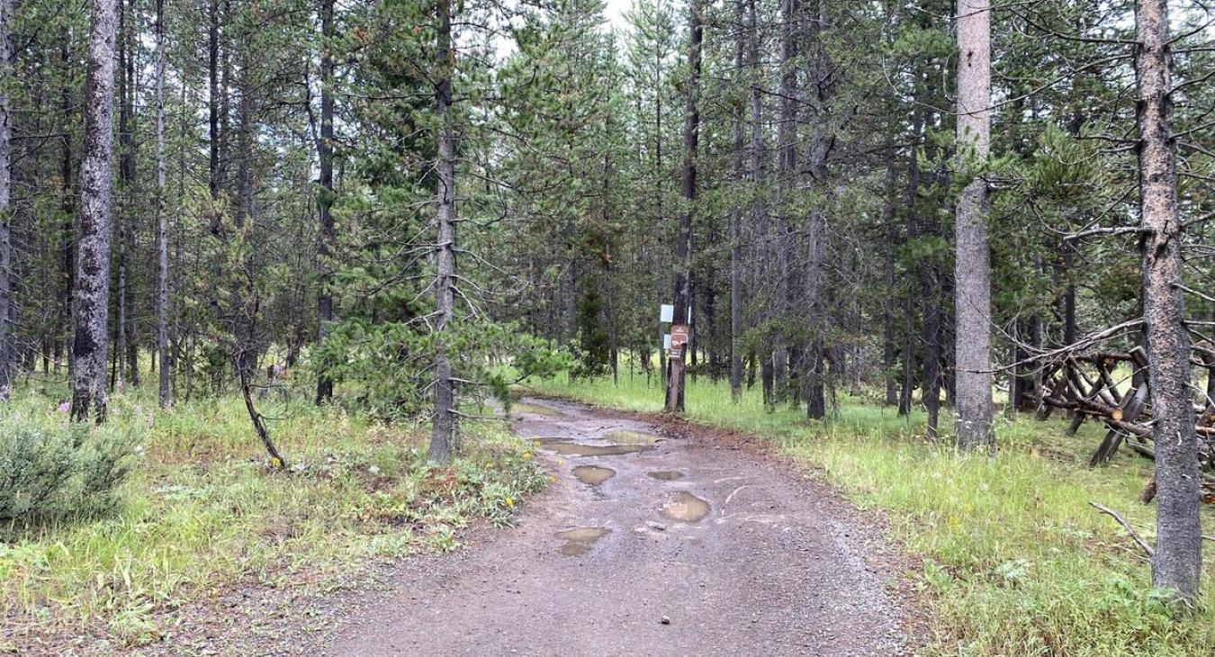 Beautiful landscape that you can enjoy near the cabin.