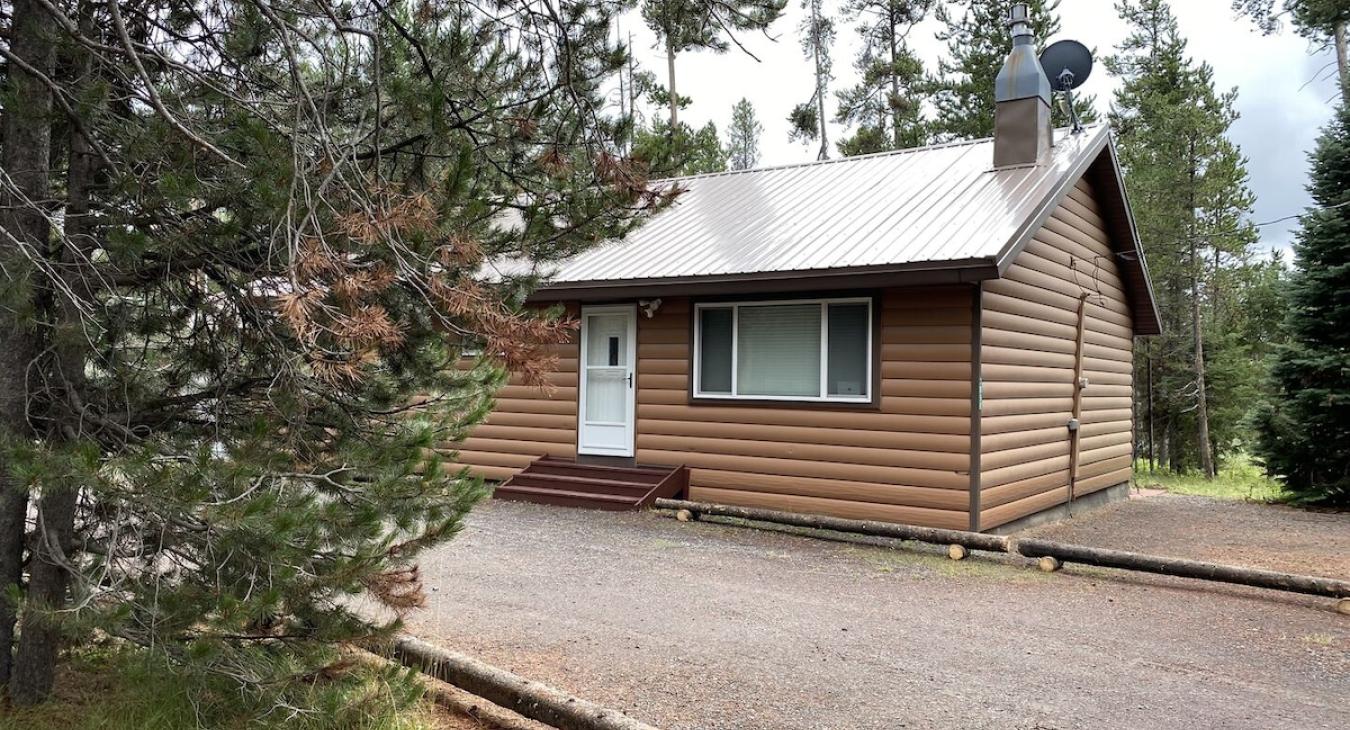 Outside view of the cabin with beautiful pine trees.