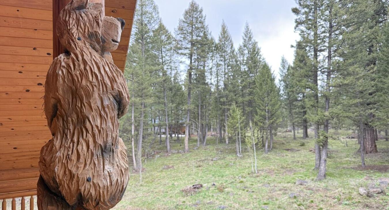 The bears keeping watch over the area.