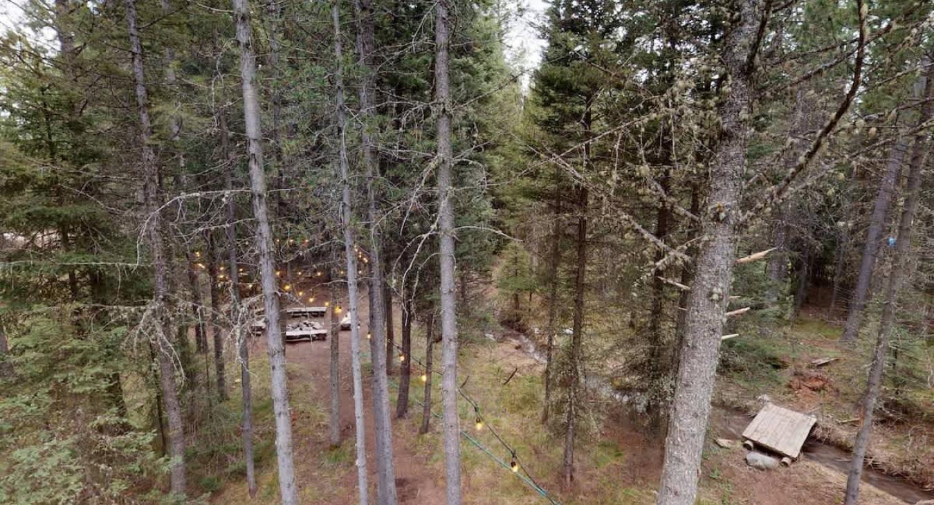 You are immersed in nature at this cabin.