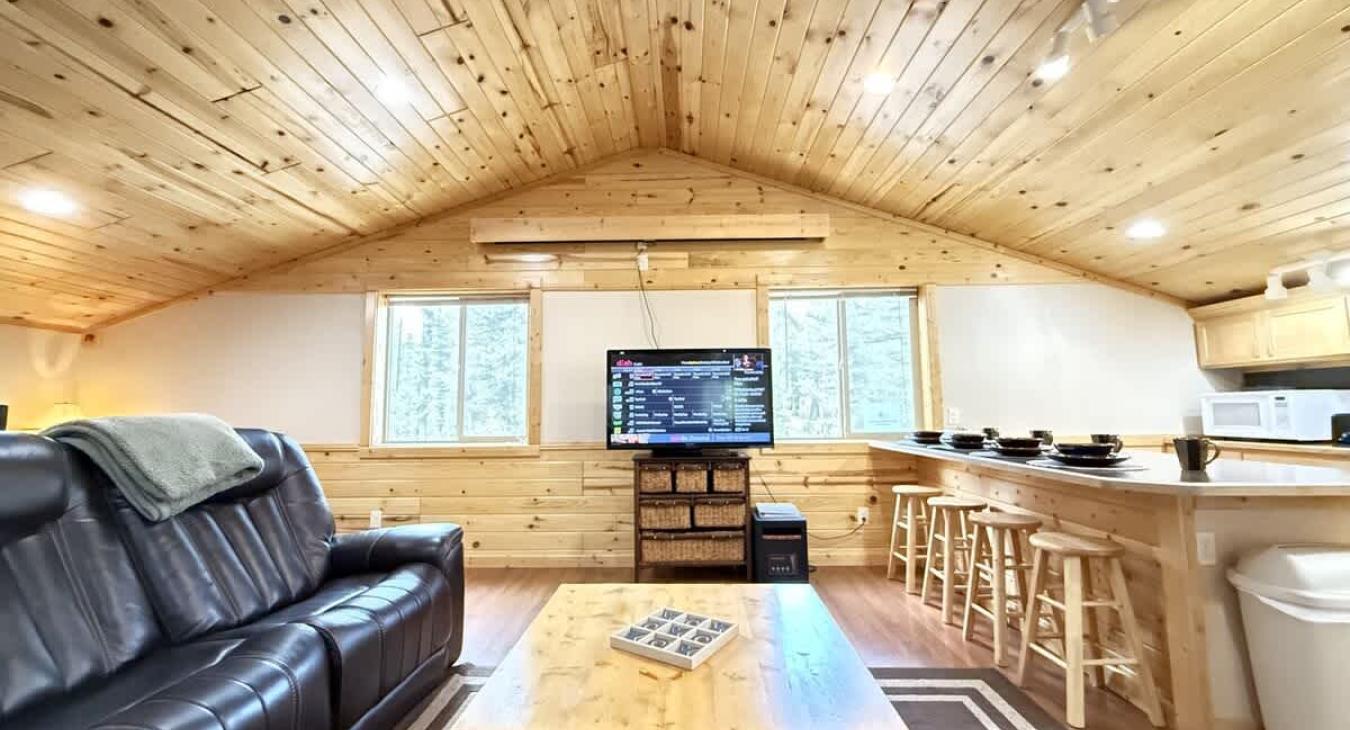 sectional couch and flat screen tv with satellite tv and dvd player