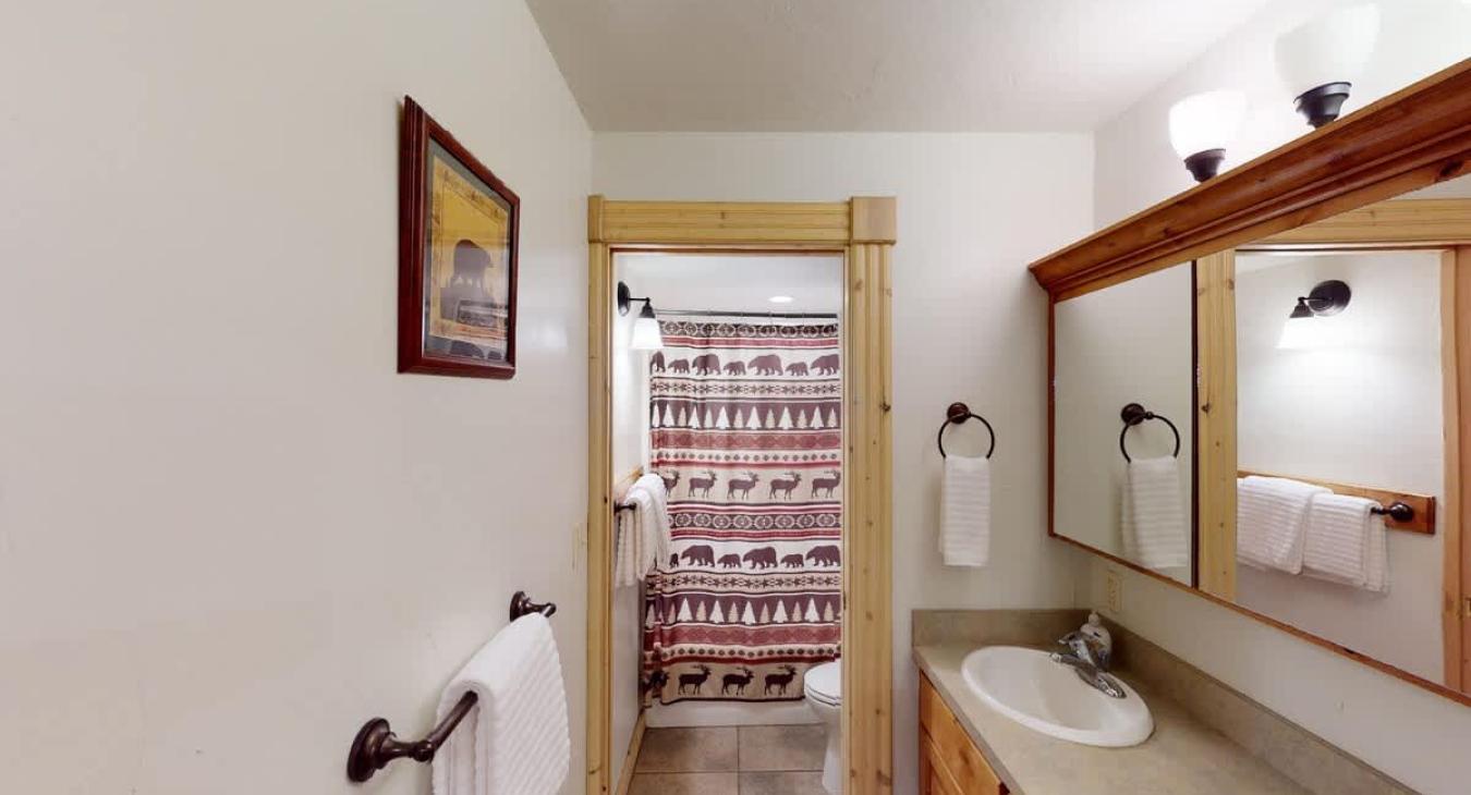 Shared basement bathroom with shower/tub, toilet, and sink vanity.