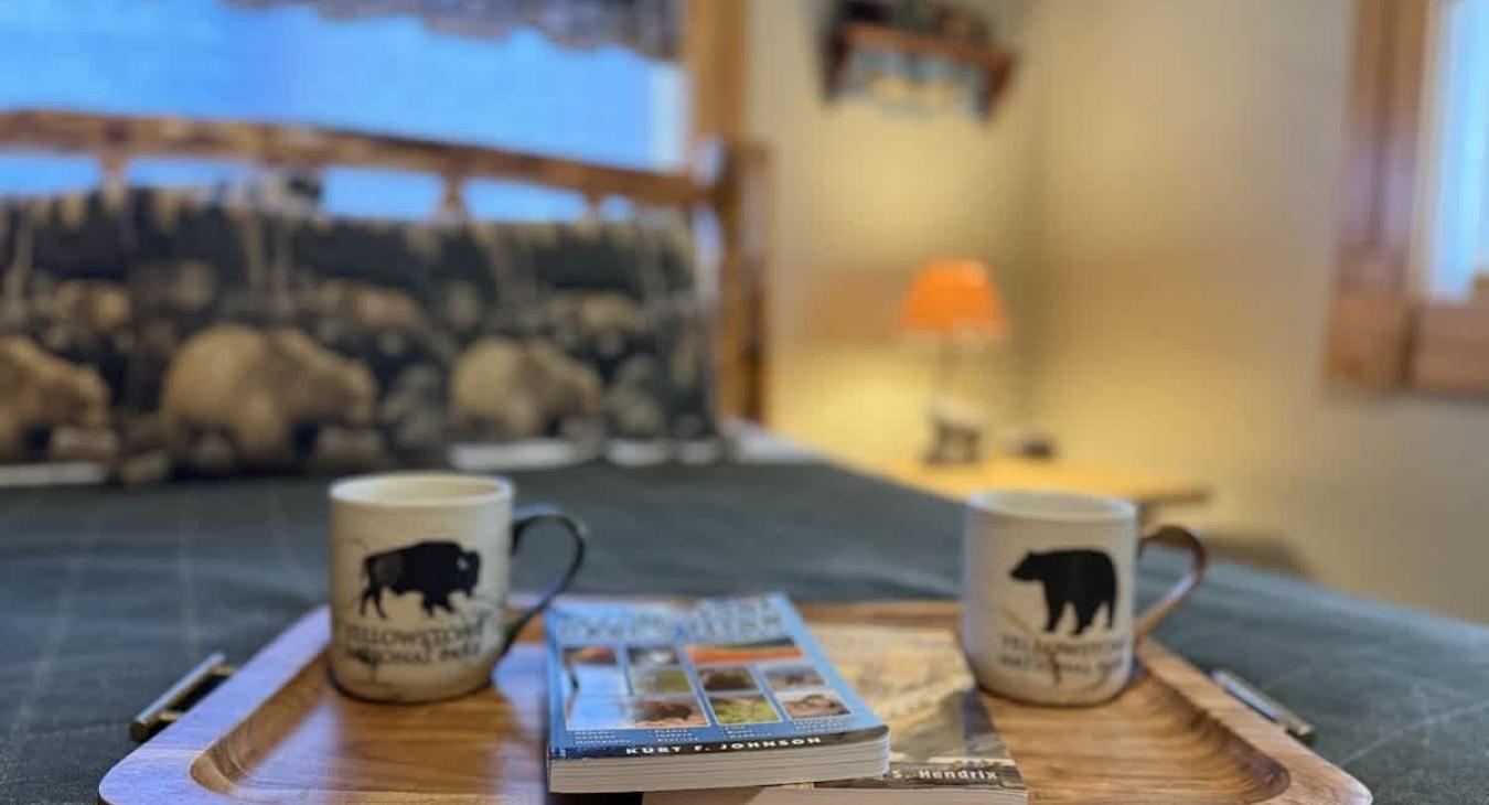 Relax after a day outdoors in this comfortable room.