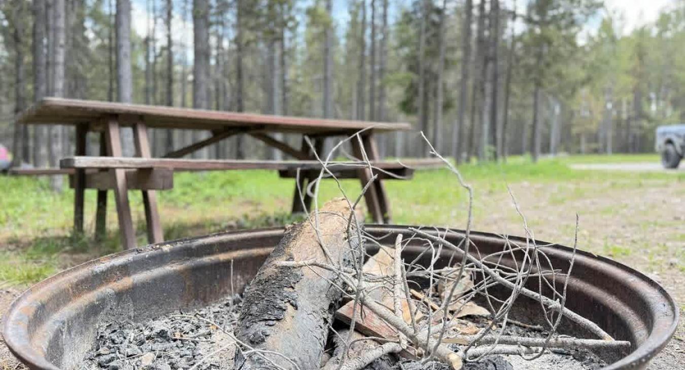 Fire pit and picnic table.