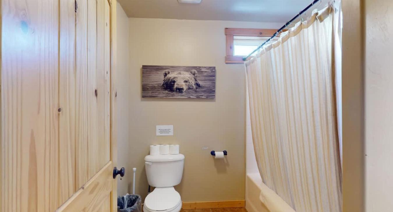 Full size bathroom with shower tub combo, toilet, and sink vanity.