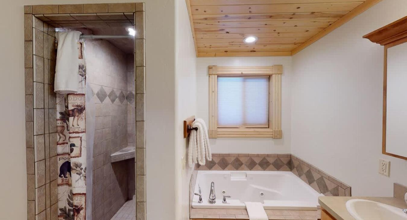 Master bathroom with a standing shower, tub, toilet, and sink vanity.