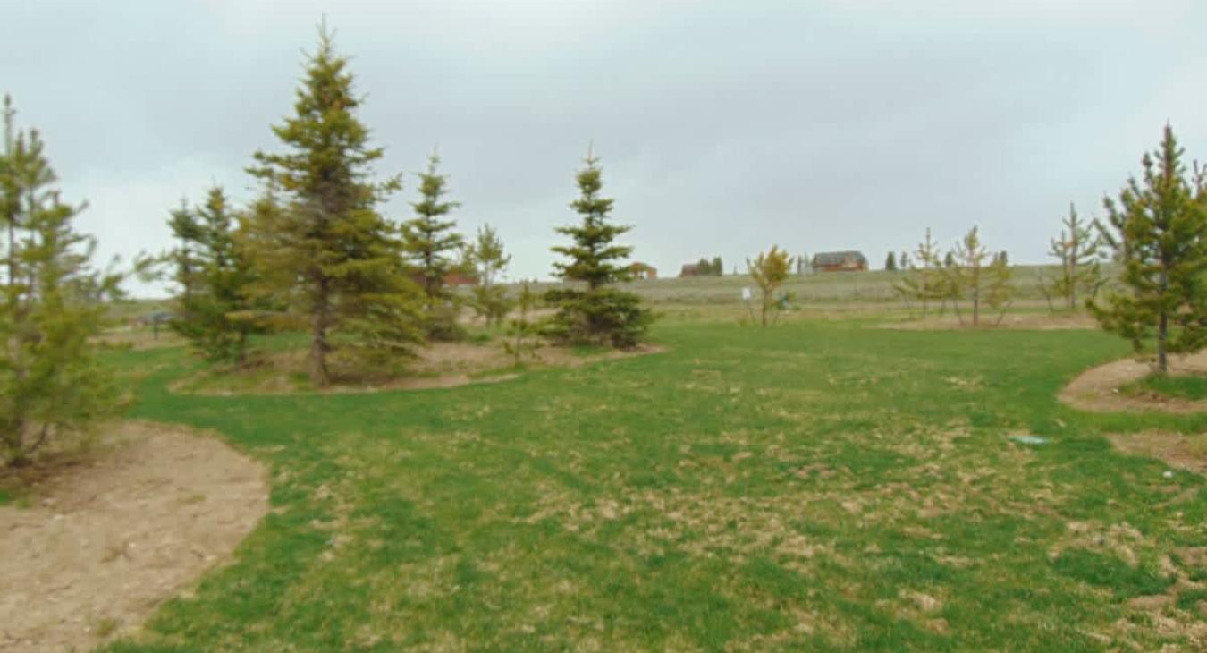 Enjoy the beautiful scenery of Island Park.